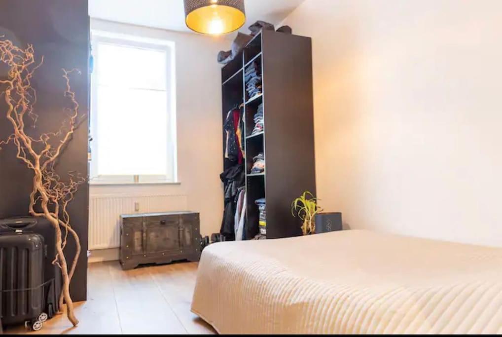 Design Apartment Im Zentrum Von Nienburg! Nienburg  Eksteriør billede